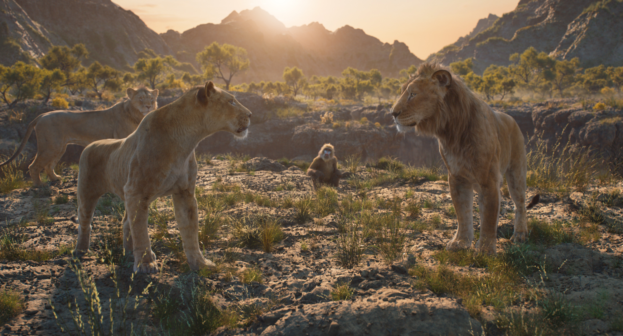 (L-R): Taka (voiced by Kelvin Harrison Jr.), Sarabi (voiced by Tiffany Boone), Rafiki (voiced by Kagiso Lediga), and Mufasa (voiced by Aaron Pierre) in Disney’s live-action MUFASA: THE LION KING. Photo courtesy of Disney. © 2024 Disney Enterprises Inc. All Rights Reserved.