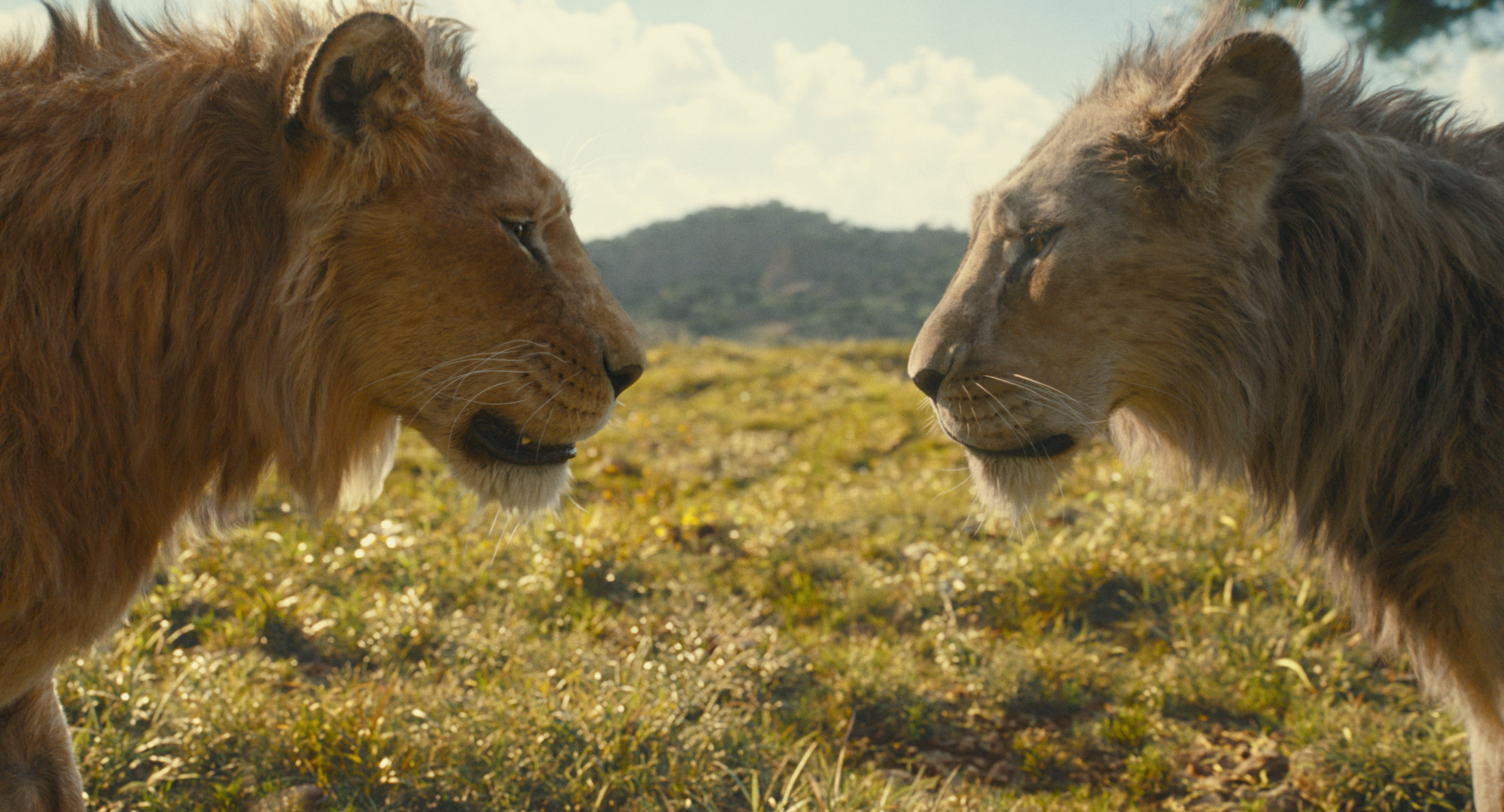 (L-R): Mufasa (voiced by Aaron Pierre) and Taka (voiced by Kelvin Harrison Jr.) in Disney’s live-action MUFASA: THE LION KING. Photo courtesy of Disney. © 2024 Disney Enterprises Inc. All Rights Reserved.